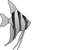 Altum Angelfish clip art