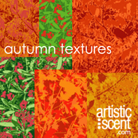 Autumn Textures