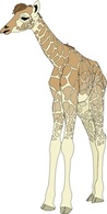 Baby Giraffe clip art