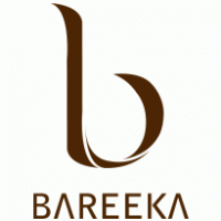 Bareeka Business parks