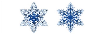 Beautiful snowflakes vector material