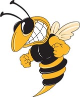 Bee 12