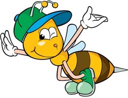Bee 24