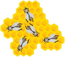 Bee and Hexagon Honey