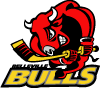 Bellville Bulls Vector Logo