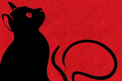 Black Cat on Red Background Vector