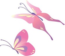 Butterfly Vector 31
