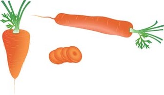 Carrot 3