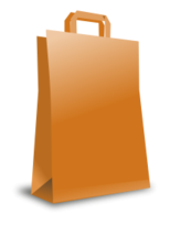 Carton Bag