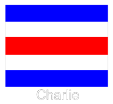 Charlie Flag