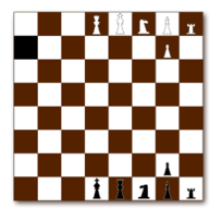 Chessboard 2d Brown