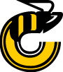 Cincinnati Stingers Vector Logo