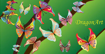 Colorful butterflies