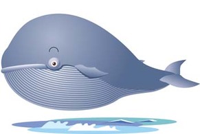 Cute whale 1