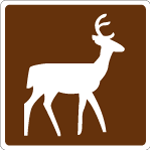 Deer Viewing Area