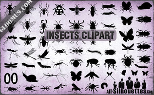 Download Free Vector Insects Clipart
