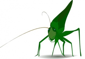 Emeza Grasshopper clip art