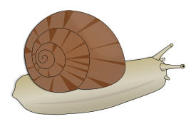 Escargot