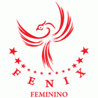 Fenix Esporte Clube
