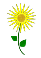 Flower, Sunflower