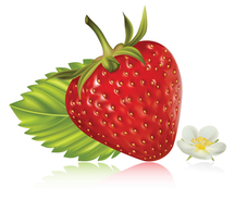 Free Vector strawberry realistic fruit