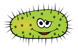 Funny green bactera