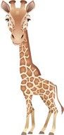 Giraflfe 3