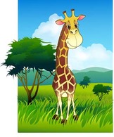 Giraflfe 5