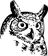 Great Owl clip art