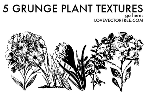 Grunge Plant Textures by LVF