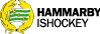Hammarby Vector Logo