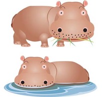 Hippopotamus vector 4
