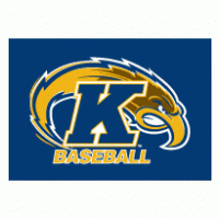 Kent State University Baseball