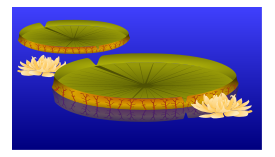 Lilypad with Flowers