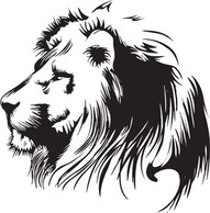 Lion 5