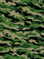 Military Pattern Vector