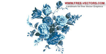 Nice blue flowers
