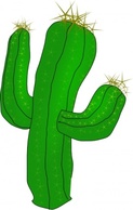 Outline Cactus Cartoon Free Plant Fenn Saguaro Cacus Desert Cacti Catus Sahuaro Cacto