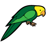 Parrot Free Vector Image