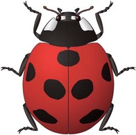 Red Bugs 6