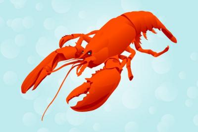 Red Lobster Vector Illustration