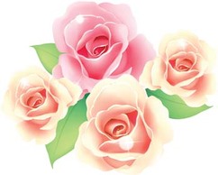 Rose Flower Vetor 46