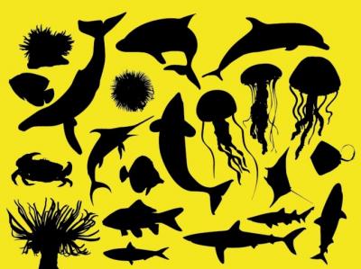 Sea animals silhouettes