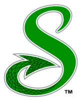 Shreveport Swamp Dragons