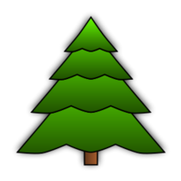 Simple Spruce