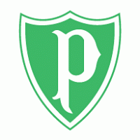 Sociedade Esportiva Palmeiras de Pato Branco-PR