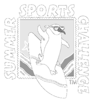 Summer Sports Challenge