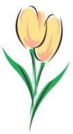 Tulip Flower 7