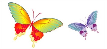 Vector material Butterfly