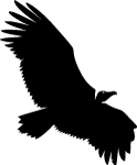 Vulture Vector Silhouette